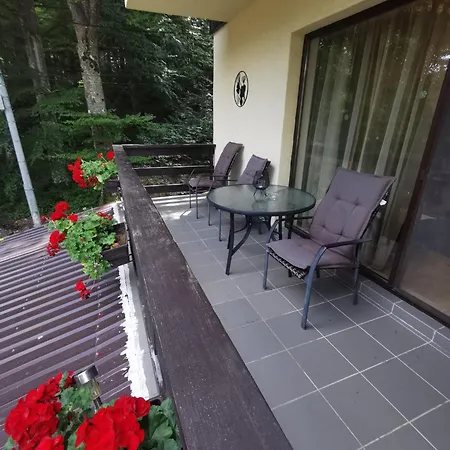 Apartament Kalinderu K3 Busteni Exterior photo