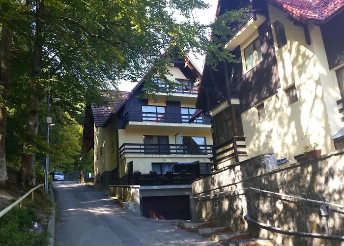 Apartament Kalinderu K3 Busteni