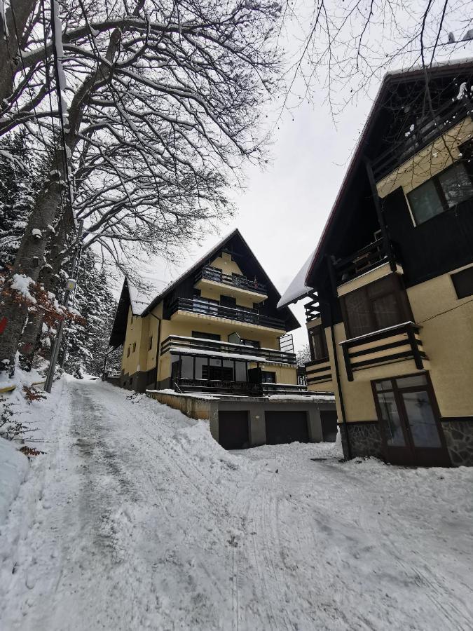 Apartment Kalinderu K3 Busteni