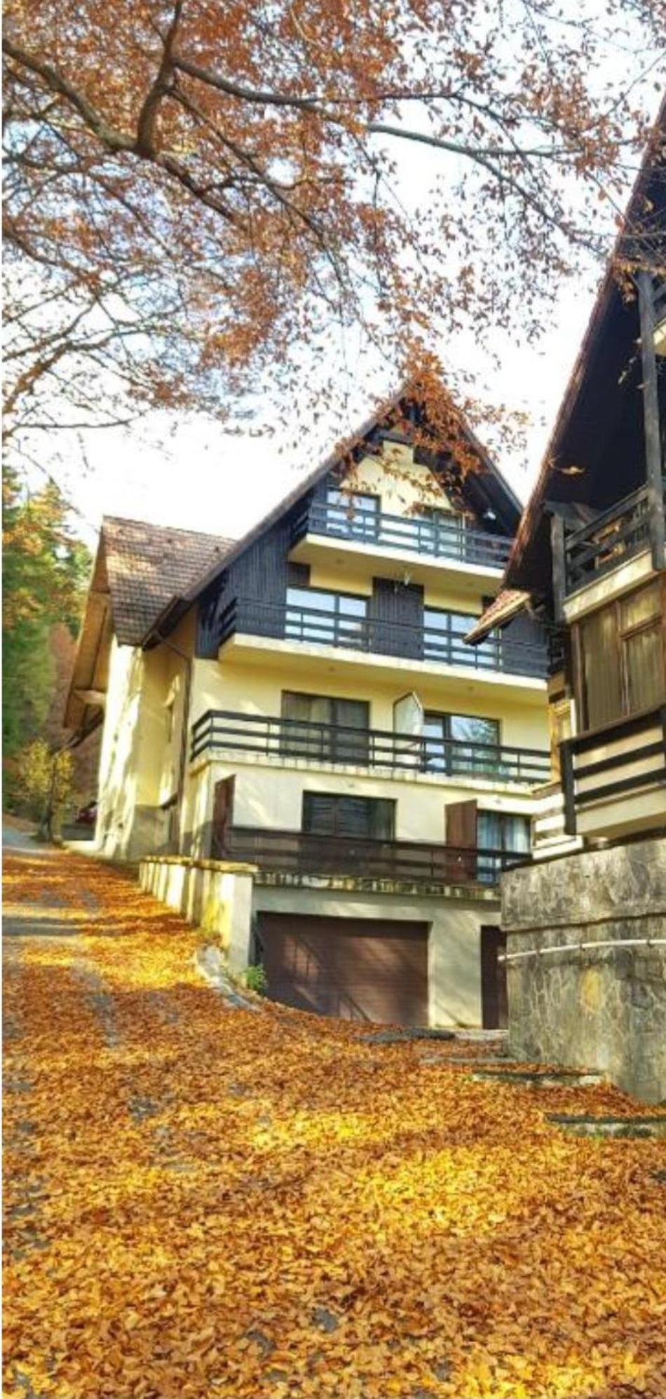 Kalinderu K3 * Busteni
