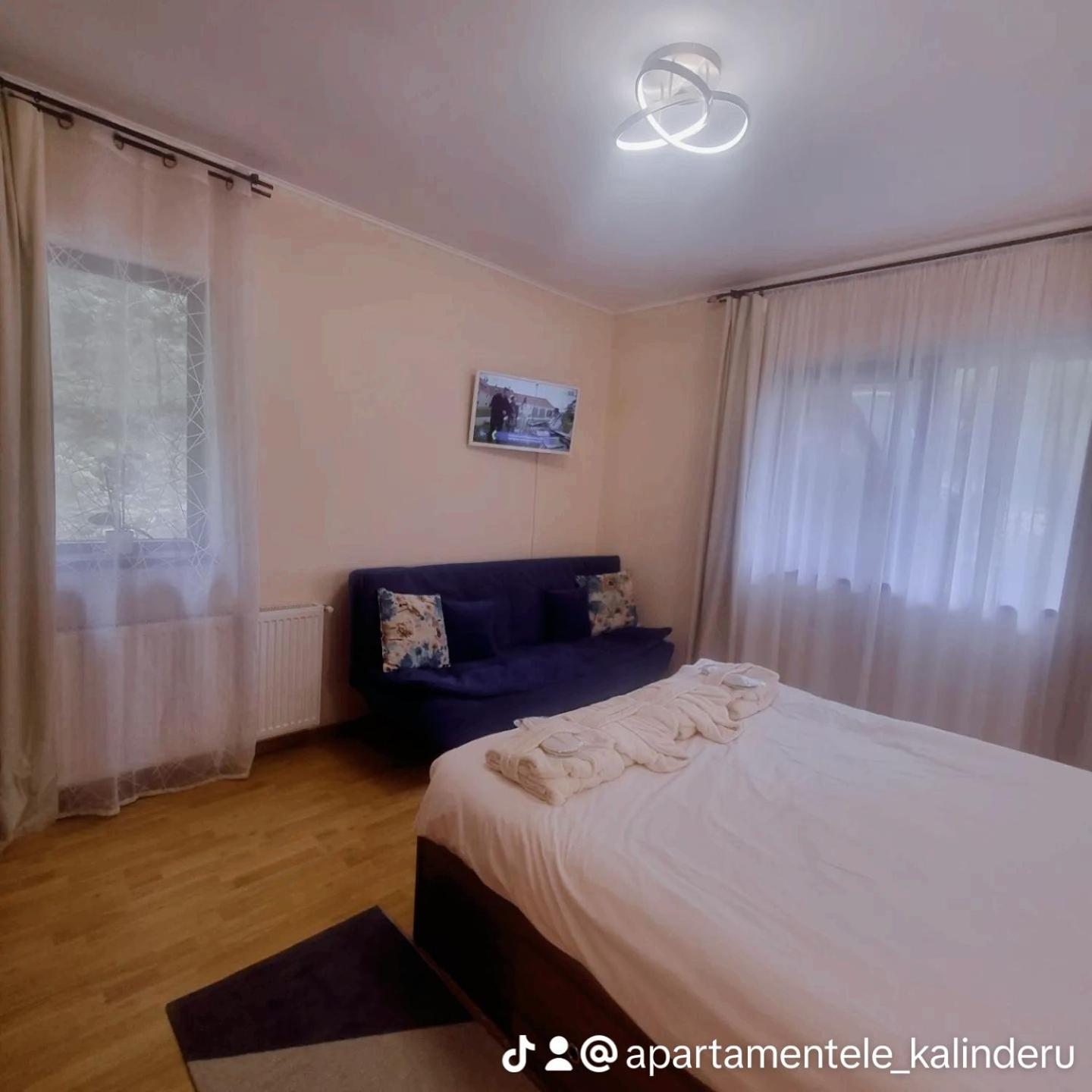Kalinderu K3 Apartment Busteni